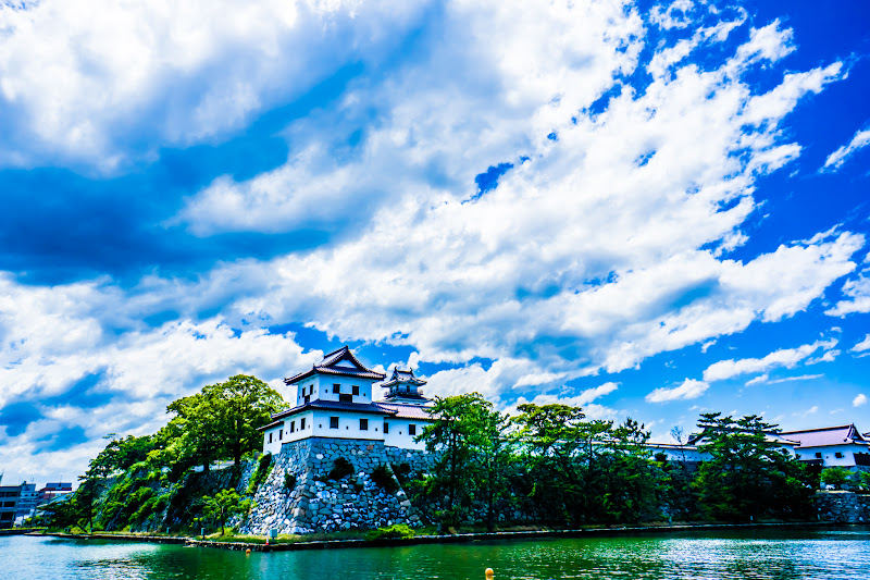 Imabari Castle moat 3