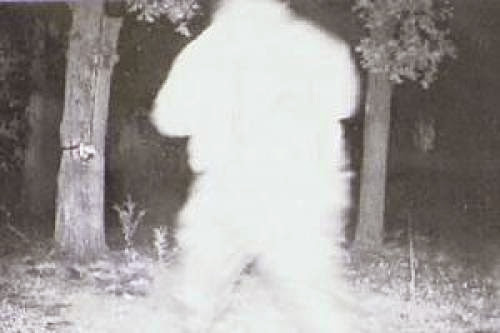 Minnesota East Texas Residents Present Bigfoot Evidence And Encounters