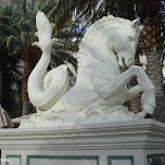  in Las Vegas, United States 