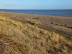 Gulley eaten out of the beach