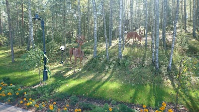 Photos of Krasnyy Bor