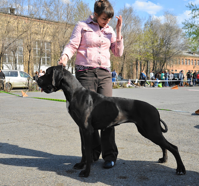 Кубок Аризоны-14(ПК)+ЧРКФ, Красноярск, 27 апреля 2014 DSC_5623