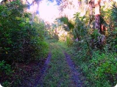 Caloosahatchee Regional Park