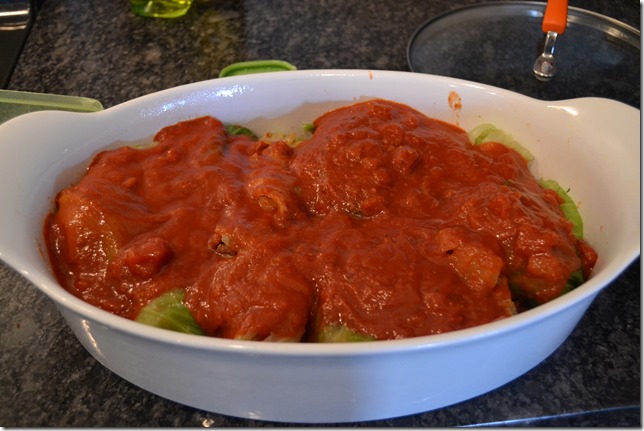 Stuffed-Cabbage-Casserole (4)