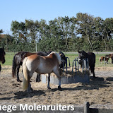 Buitenrit Ameland 2018 - Dag 1