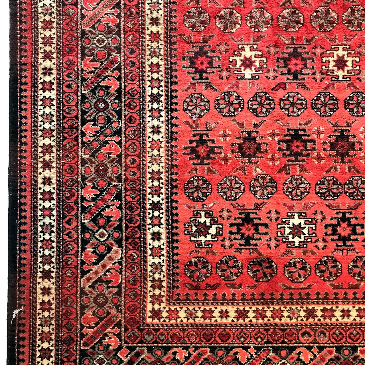 Couristan Wool Area Rug