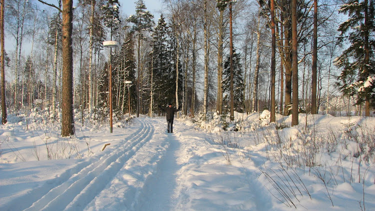 Karisto - puutarhakaupunki. Каристо - город-парк