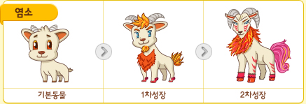 파일:/new_pet/growth/goat_growth.jpg