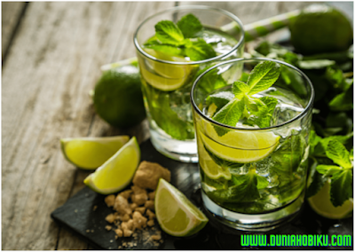 Mojito : Minuman Khas Kuba Saat Musim Panas