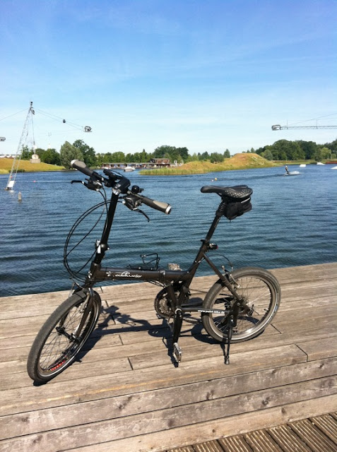 Bild