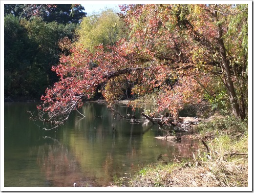 Autumn in Austin