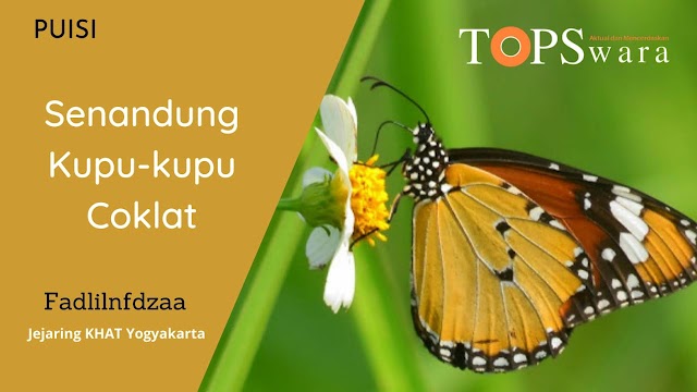 Senandung Kupu-kupu Coklat 