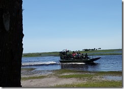 Airboat tour