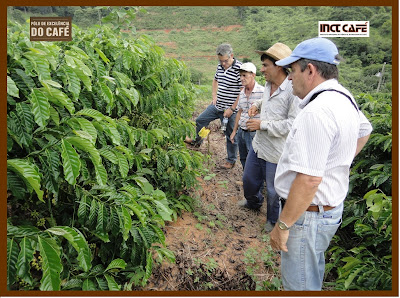 Como preparar o Café Conilon por via úmida?