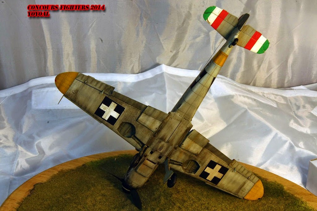 [ Concours avions allemands WWII ] - Me-109 G6 au 1/48° de chez Eduard - Page 4 IMG_1186%2520copie