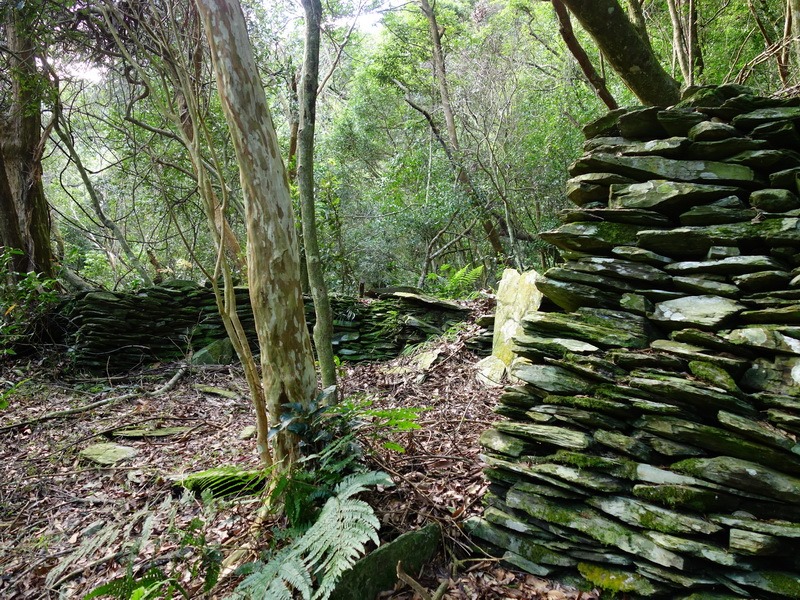 2014_0101-0105 萬山神石、萬山岩雕順訪萬頭蘭山_0523