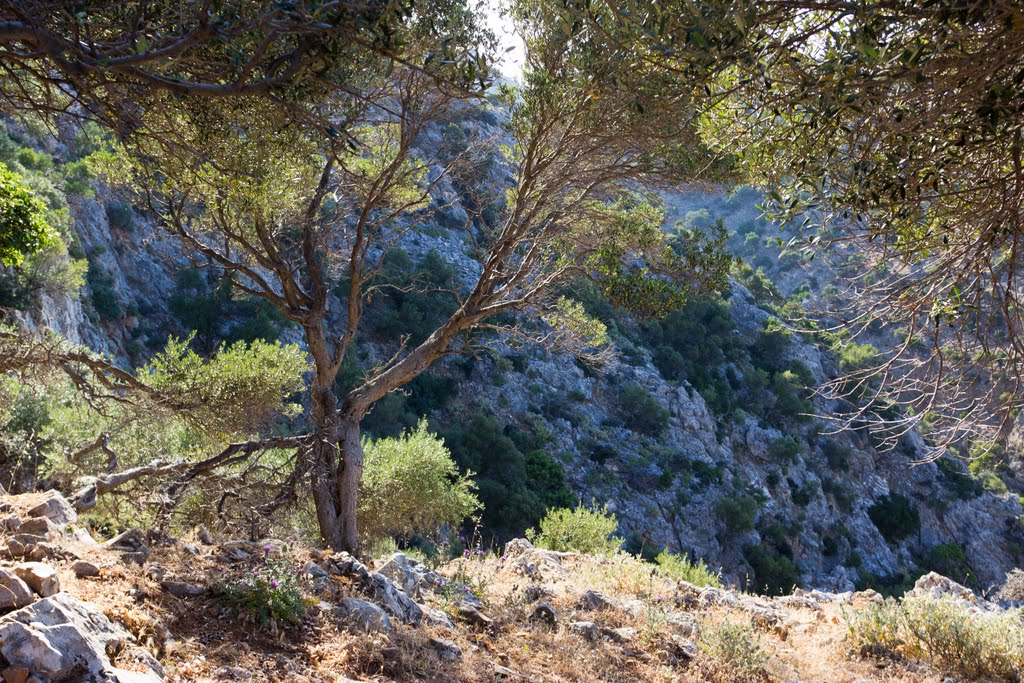 2 месяца в Греции. Часть 1: дорога по Балканам – Пелион – Коринфский залив – Афины - Крит