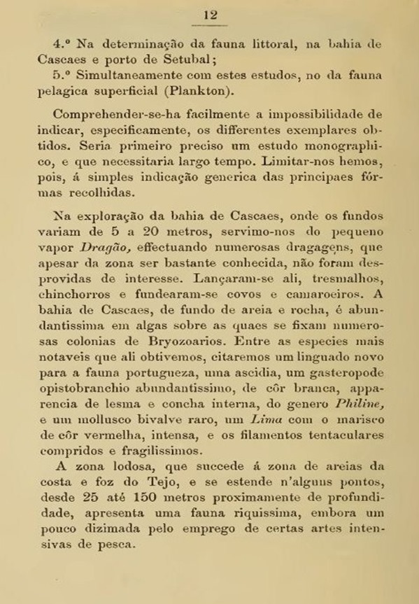 [1897-Campanha-Oceanogrfica.237.jpg]