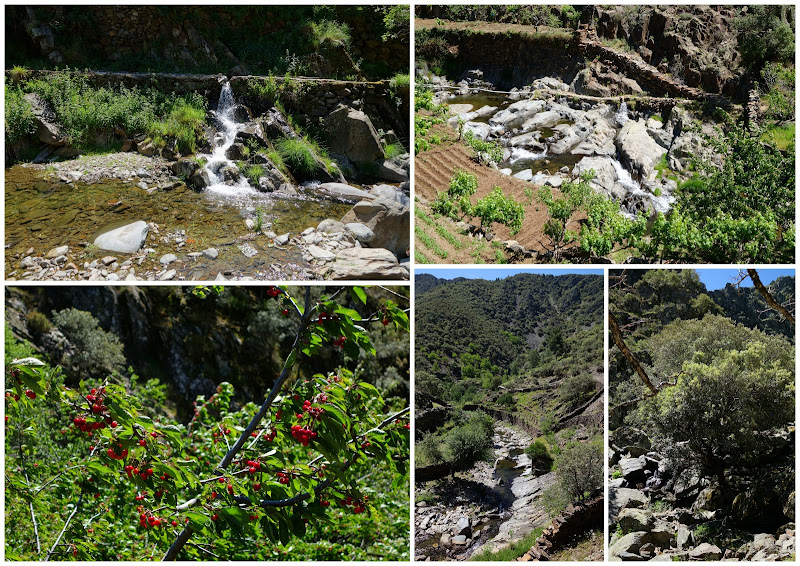 Recorriendo Extremadura. Mis rutas por Cáceres y Badajoz - Blogs of Spain - Las Hurdes (Cáceres). Extremadura en verde y agua. (28)