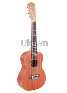 Ukulele concert Ymin