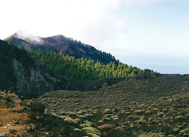 Isla de La Palma (Canarias, provincia de Tenerife): La isla bonita. - De viaje por España (47)