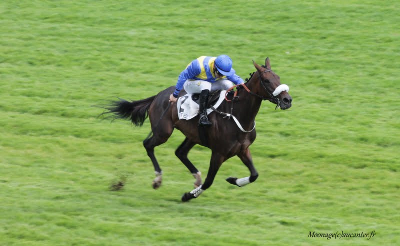 Photos Auteuil 26-09-2015 IMG_3930