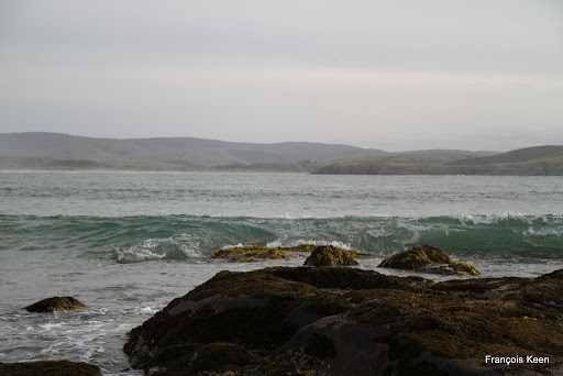 NZ - Curio Bay