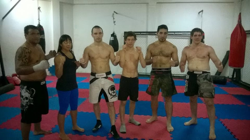 artes marciales mixtas