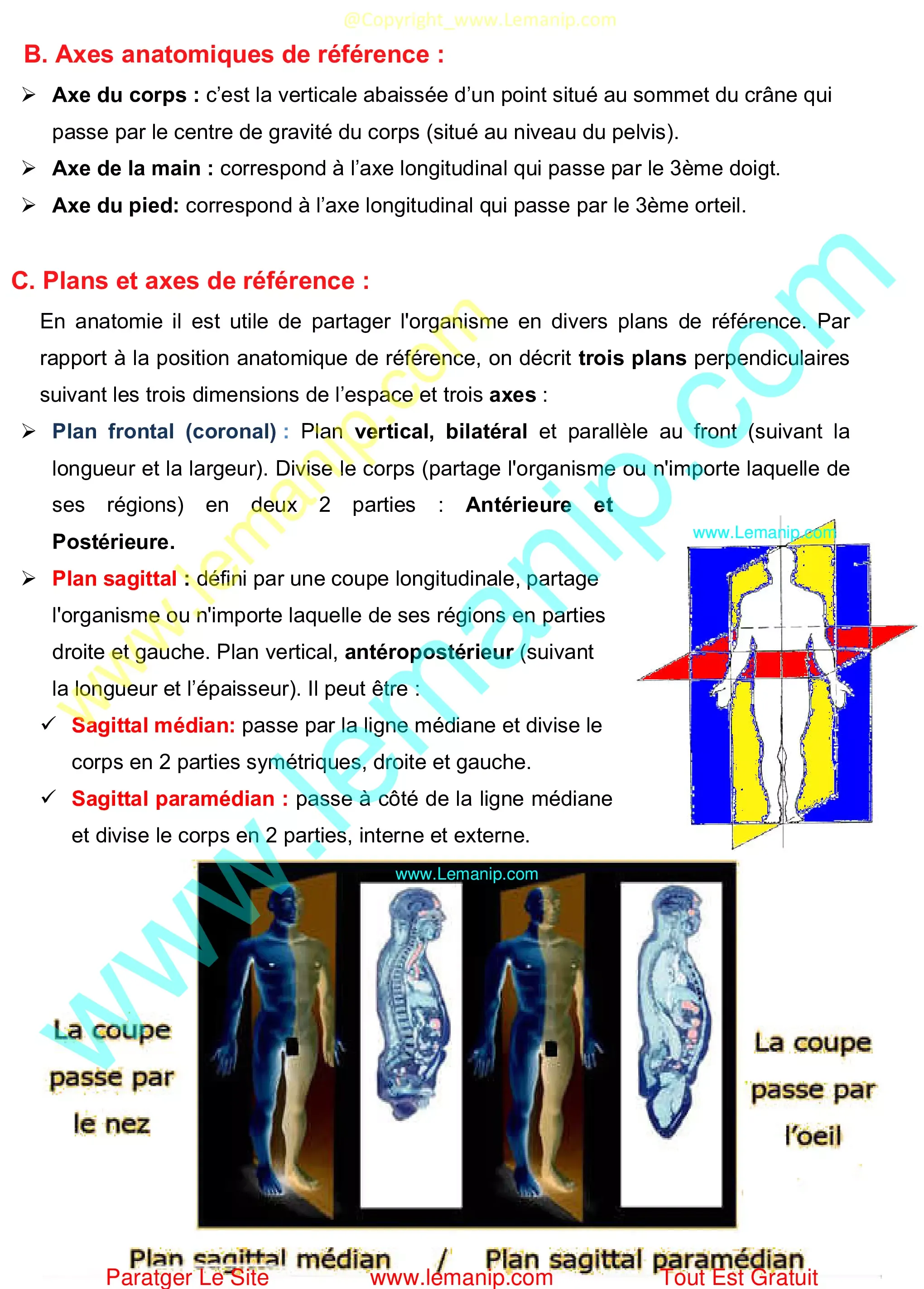 Axes anatomiques de référence