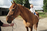 Boerderijbezoek K1