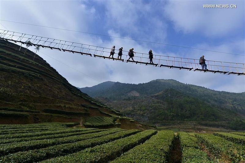 air-corridor-xuanen-tea-park-8