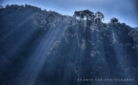 RAYS 