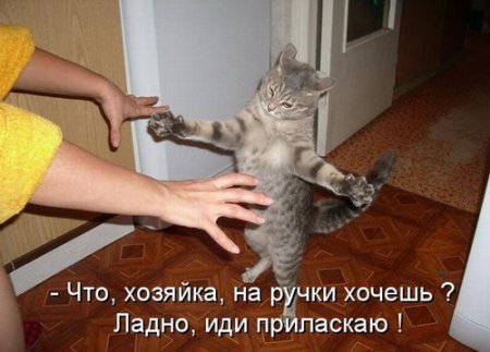 Ни дня без улыбки. Подари мне солнце… Ни дня без улыбки. Подари мне солнце…