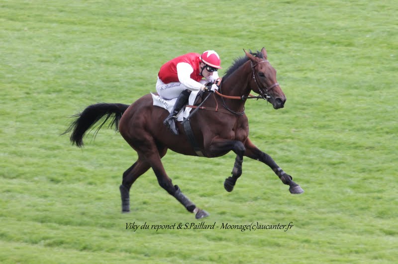 Photos Auteuil 26-09-2015 IMG_3891