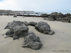 Unnamed Beach in Año Nuevo State Park, north of Table Point