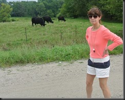 Cheryl surveys the Cows