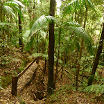 Timber post and railing close to Muirs Lookout near Muirs Lookout (320249)