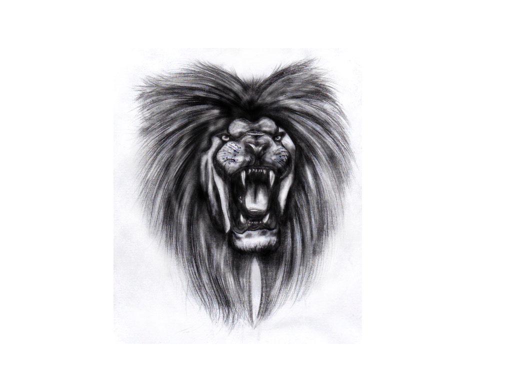 Penciled roaring lion