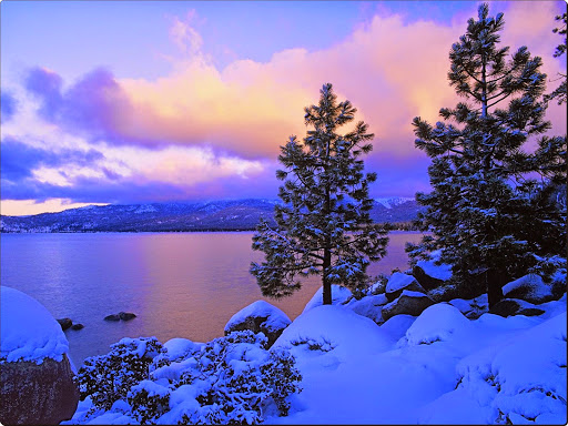 Colors of Winter, Lake Tahoe.jpg