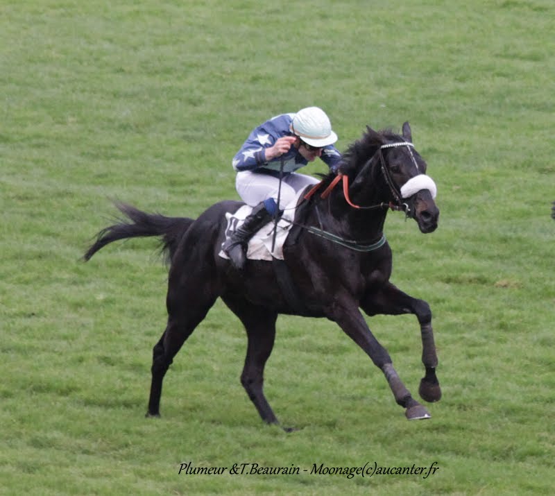 Photos Auteuil 7-11-2015 (48h de l'obstacle) IMG_6576