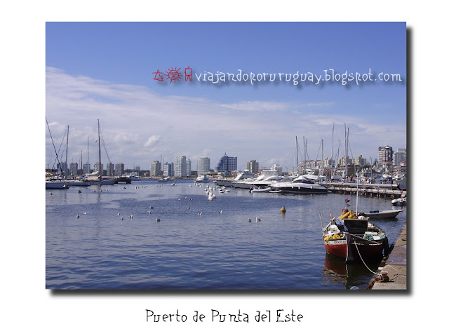 Punta del este