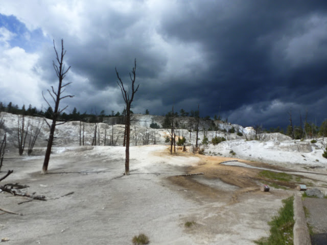 Mammoth Hot Springs. Valle de Lamar. Calcite Springs. Tower Falls. 12 Julio - LAS ROCOSAS DE CANADA. YELLOWSTONE Y GRAND TETON. (11)