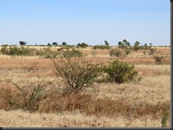 170608 013 Cape Crawford to Barkly Homestead 170608 013 Cape Crawford to Barkly Homestead