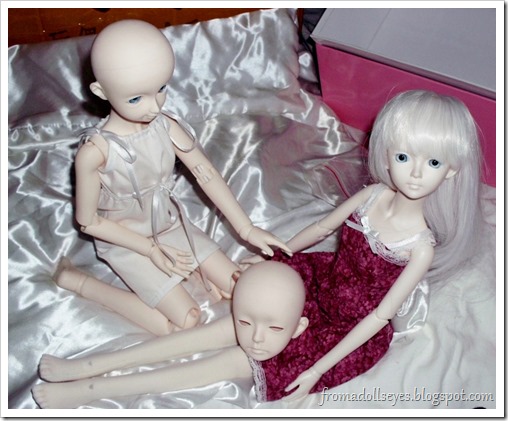 Doll Family-A Unboxing