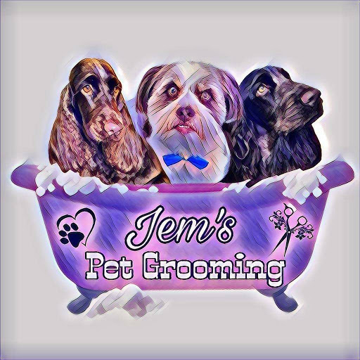 Jem's Pet Grooming