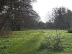 Meadows alongside Byng Brook