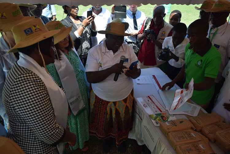 Monica Awuor, farmer demonstrates to EU Ambassador to Kenya Henriette Geiger and Homa Bay Governor Gladys Wanga how farmers will access farm inputs in Homa Bay town on March 11,2024