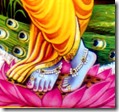 [Krishna's lotus feet]