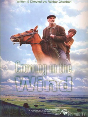 Growing in the Wind (2012)