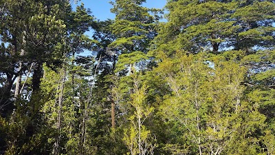 Photos of Chapo Lake